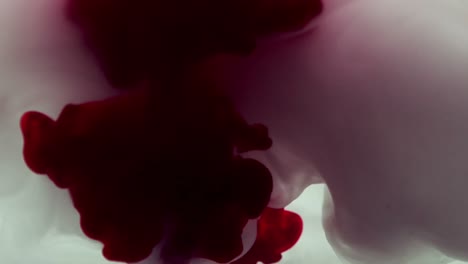 Red-and-purple-ink-swirling-in-water