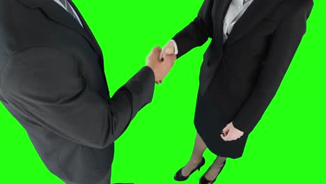Geschäftsleute-Beim-Händeschütteln