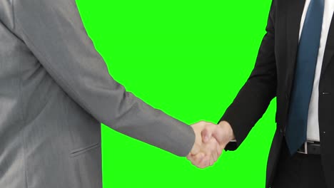 Business-people-handshaking