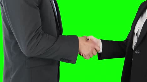 Business-people-shaking-hands-