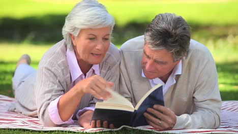 Mature-couple-reading-a-book