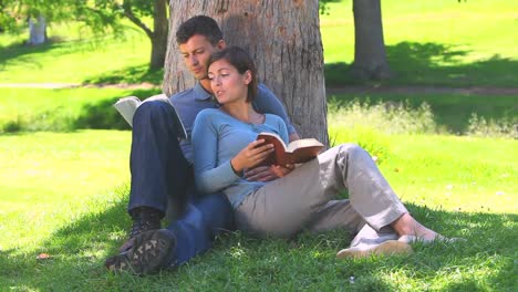 Young-couple-reading-book-outdoors