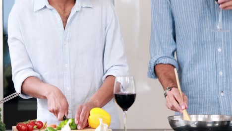 Homosexual-couple-cooking-together