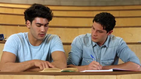 Two-male-students-working-together