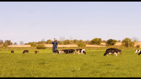 Cattle-farmer-talking-on-mobile-phone