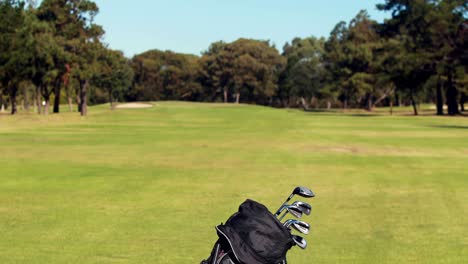 Golftasche-Mit-Golfschläger