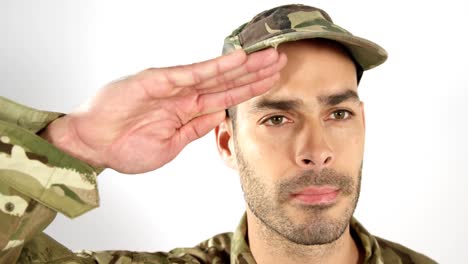 Soldier-saluting-on-white-background
