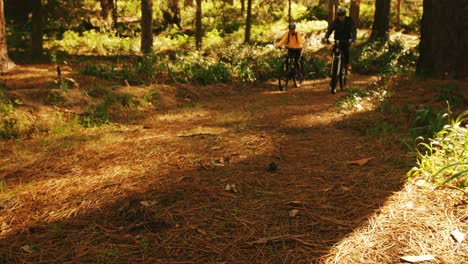 Mountainbike-Paar-Fährt-An-Einem-Sonnigen-Tag-Im-Wald