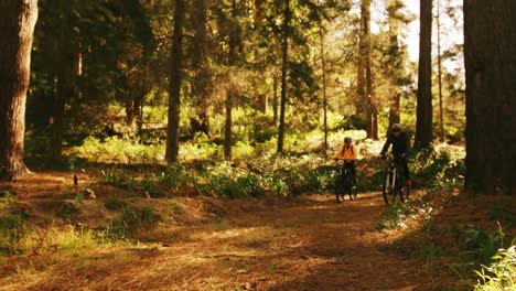 Mountain-biking-couple-riding-in-the-forest