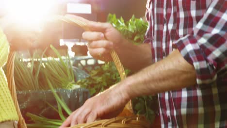 Glückliches-Paar-Kauft-Gemüse-Im-Bio-Bereich-Des-Supermarkts