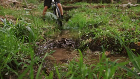 Male-mountain-biker-riding-in-the-forest