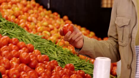 Mann-Wählt-Tomaten-Im-Bio-Bereich-Aus