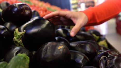 Woman-selecting-brinjal-from-organic-section