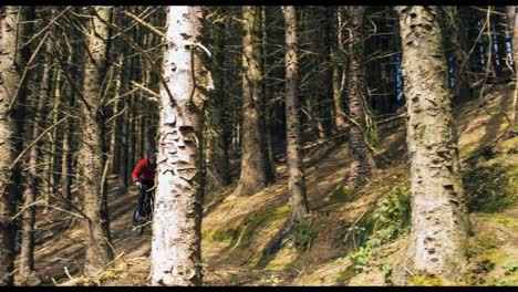 Mountain-biker-riding-bicycle-in-forest