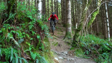 Mountainbiker-Fährt-Fahrrad-Im-Wald