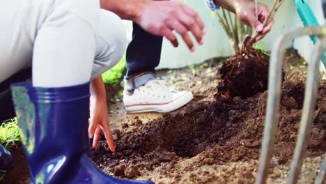 Father-and-daughter-planting-a-tree-in-garden-at-backyard
