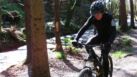Mountainbiker-Fährt-Fahrrad-Im-Wald