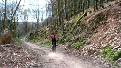 Rear-view-of-mountain-biker-riding-bicycle-in-forest
