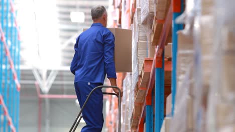 Trabajador-De-Almacén-Masculino-Usando-Escalera-Para-Organizar-Cajas-De-Cartón