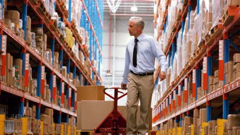 Manager-walking-with-a-pallet-truck