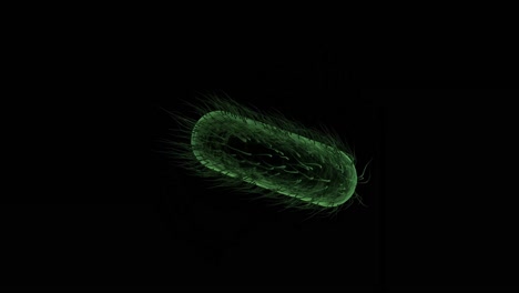 Digital-generated-bacteria-cell--against-black-background