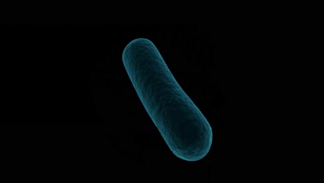 Digital-generated-bacteria-cell-against-white-background