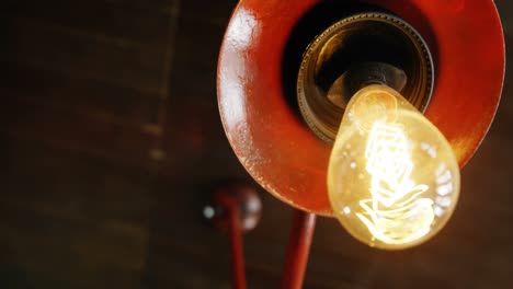 Illuminated-electric-bulb-