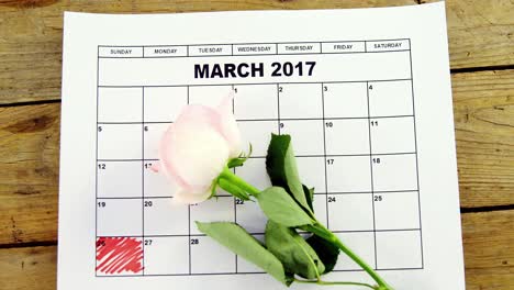Pink-rose-on-calendar