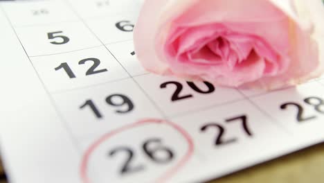 Pink-rose-on-calendar