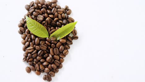 Geröstete-Kaffeebohnen-Mit-Kaffeeblättern
