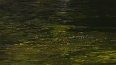 Close-up-of-river-water-surface