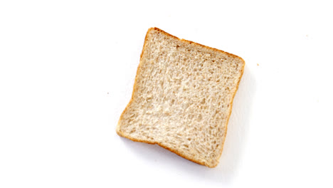 Single-bread-slice-on-white-background