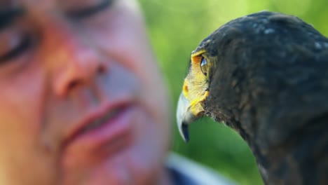 Man-looking-at-falcon