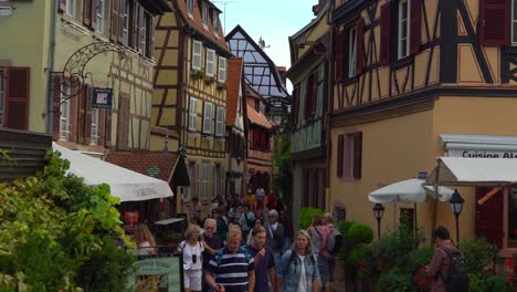 The-fishmonger's-district-is-the-place-where-most-of-the-professional-fishermen-and-boatmen-of-Colmar-lived