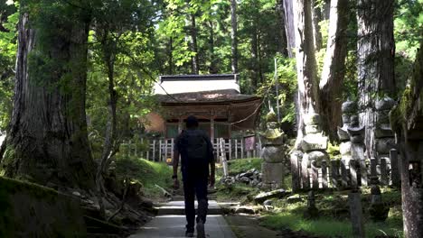 Solo-Male-Hiker-Walking-Towards-Forest-Temple-Lodging-In-Forest-In-Japan