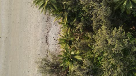 Palmen-Säumen-Den-Wasserrand-Eines-Abgelegenen-Strandes-Auf-Einem-Tropischen-Inselurlaub