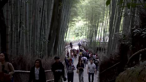 Visitantes-En-El-Bosque-De-Bambú-De-Arashiyama