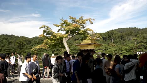 Besucher-Im-Goldenen-Pavillon-Des-Buddhistischen-Tempels-Kinkaku-ji