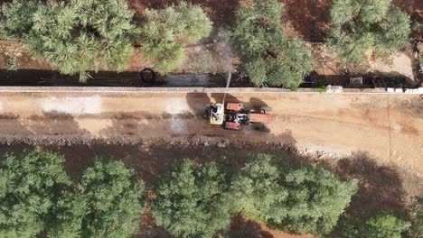 Top-down-aerial-footage-following-a-tractor-that-is-spraying-product-onto-olive-trees-on-a-farm-in-southern-Italy