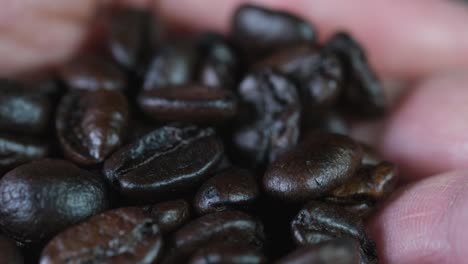 Arabica-roasted-beans-in-a-hand-revealed-in-a-close-up