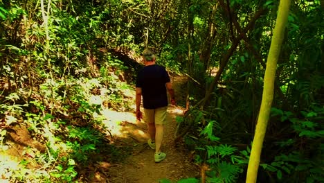 Man-walking-in-the-Brazilian-savanna-tropical-forest---follow-tracking-view