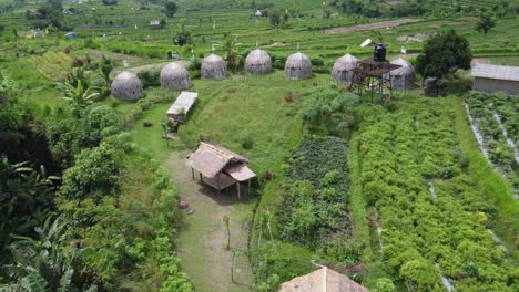 Stylish-thatched-huts-at-glamping-ground-amid-farmlands-at-Maha-gangga-valley-tourist-accommodation