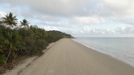 Palmeras-Tropicales-Bordean-La-Playa-Del-Popular-Destino-Vacacional-De-Port-Douglas,-North-Queensland,-Australia