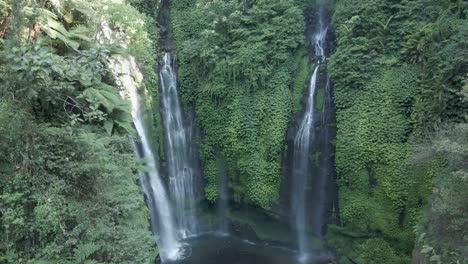 Retiros-Aéreos-En-La-Jungla-De-Bali-Desde-La-Hermosa-Cascada-Natural-De-Sekumpul