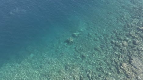 Bird's-eye-view-of-clear-ocean-water-near-shore,-reef-drops-into-deep