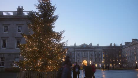 Die-Geschmückte-Kiefer-Des-Trinity-College-Und-Der-Universität-Zu-Weihnachten-In-Dublin,-Irland