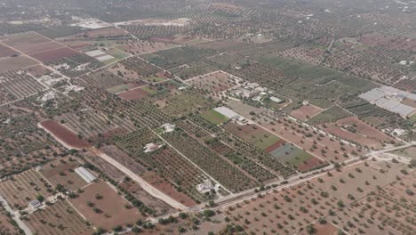 Wide-aerial-flyover-of-olive-farms-in-southern-Italy-Puglia