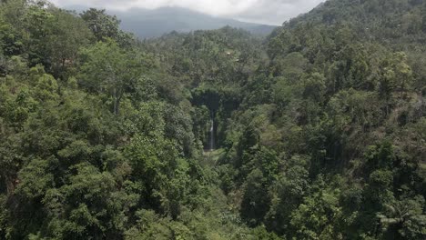 Luftüberflug-üppiger,-Dichter-Dschungel-In-Richtung-Sekumpul-Wasserfall-Auf-Bali