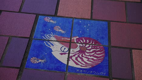 Toba-City-Footpath-with-titles-displaying-Nautilus,-Japan
