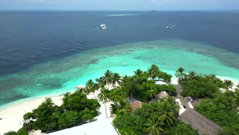 Aerial-view-of-Bathalaa-Island,-passing-over-the-palm-trees-to-the-beach-and-reef